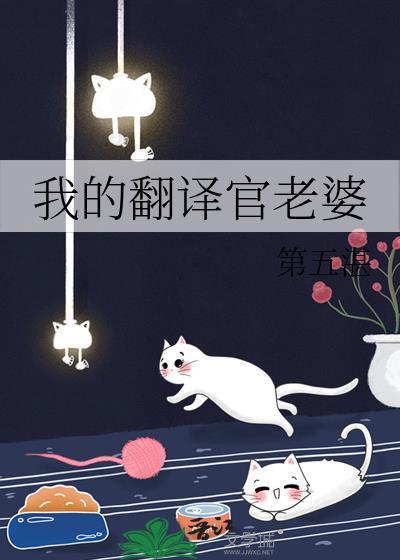 我的翻译官老婆免费阅读